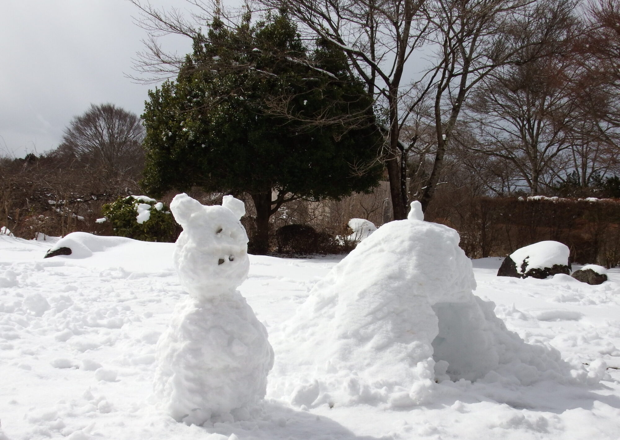 那須ロイヤルヴィラ　民泊冬